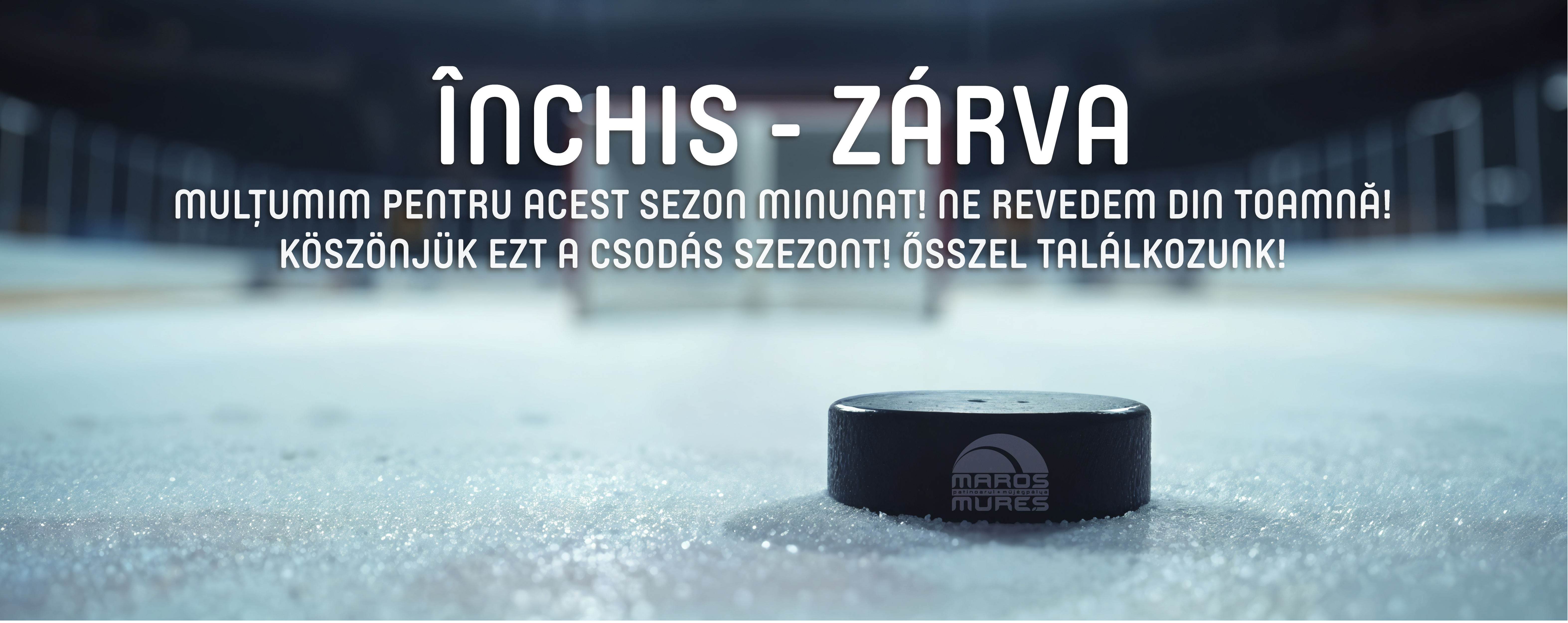 program patinoar targu mures